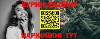 стафф Донской