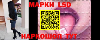 стафф Донской
