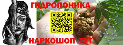 стафф Донской