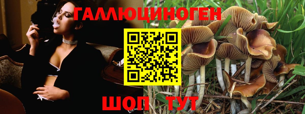 Псилоцибиновые грибы Psilocybe  Вход с VPN  Галлюциногенные грибы ЛСД  Нарьян-Мар 